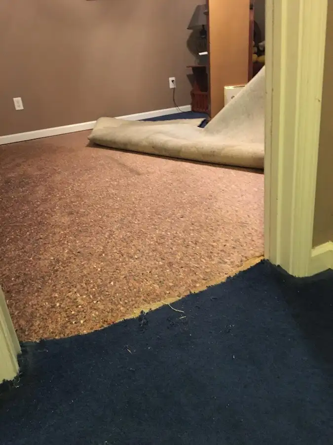 Carpet pad removal revealing water damage during Drying & Dehumidification in Lindsay